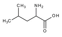 DL-Leucine for synthesis 50g Merck