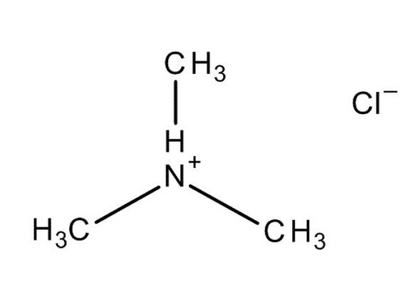 Trimethylammonium chloride 5g Merck