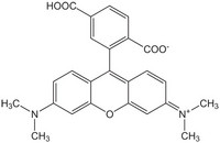6-Carboxy-tetramethylrhodamine Novabiochem® 50mg Merck