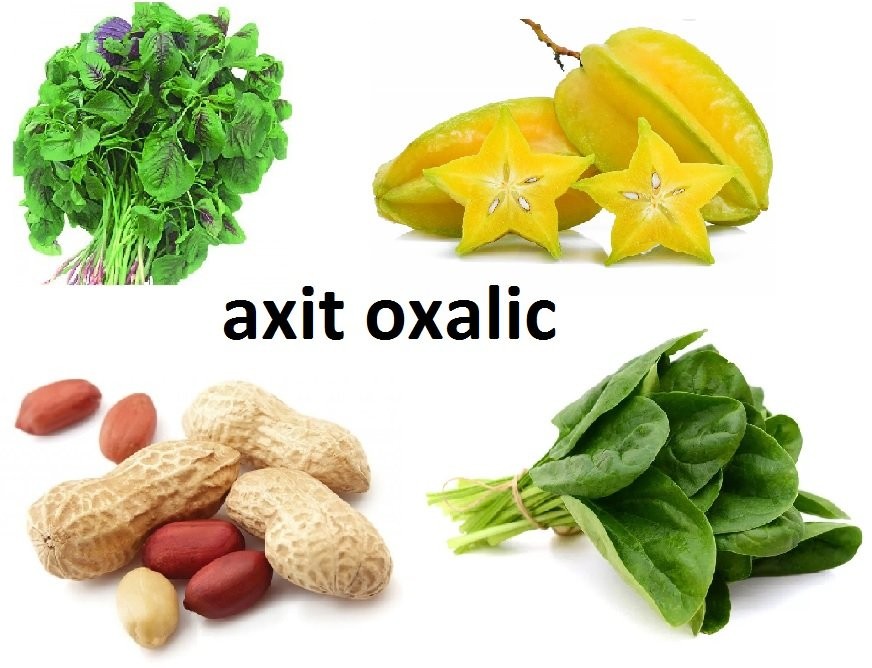 Axit oxalic có thể được tìm thấy ở đâu?