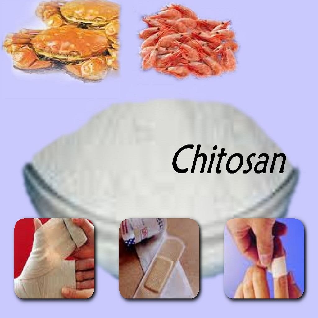 Một số ứng dụng của chitosan