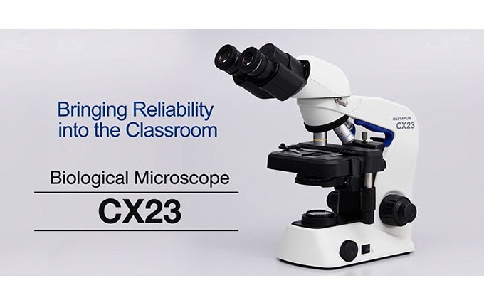 Hình ảnh kính hiển vi quang học