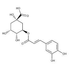 Chlorogenic acid 20mg ChemFaces