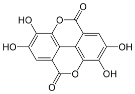 Ellagic acid 20mg ChemFaces