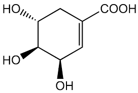 Shikimic acid 20mg ChemFaces