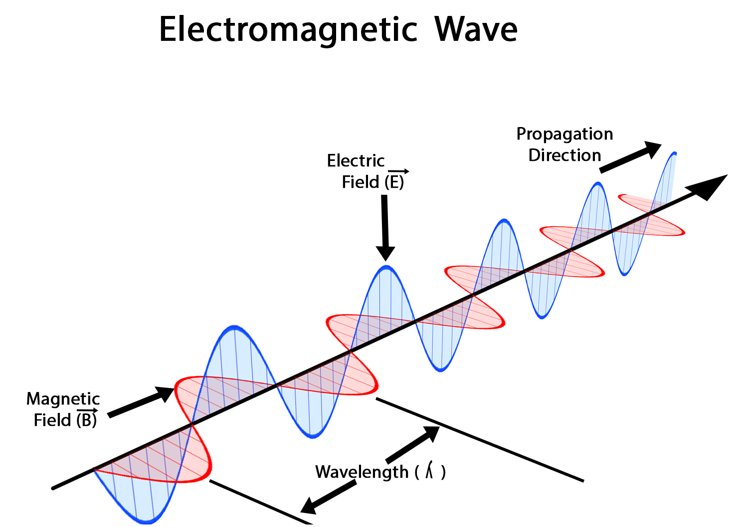 Sóng năng lượng điện kể từ là sóng ngang