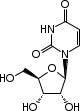 Uridine, 99% 1g Acros