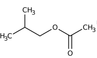iso-Butyl acetate, extra pure, SLR 5l Fisher