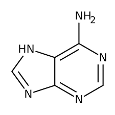 Adenine, 99% 100g Acros