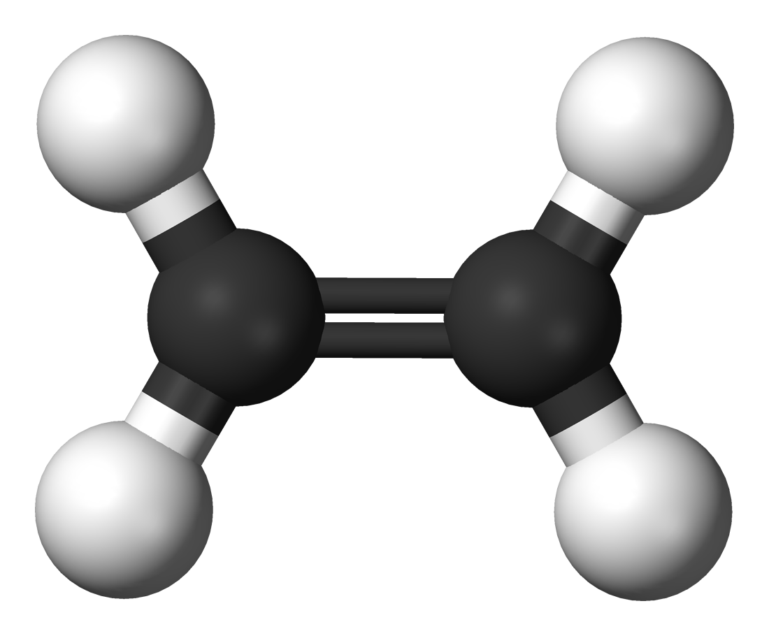 Cấu trúc phân tử của Etilen