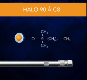 Halo 90 Å C8, 2.7 µm, 4.6 x 100 mm HPLC Column