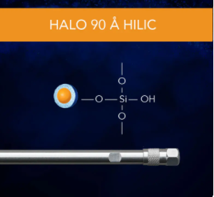 HALO 90 Å HILIC, 2 µm, 2.1 x 50 mm HPLC Column
