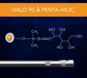 HALO 90 Å Penta-HILIC, 2.7 µm, 2.1 x 100 mm HPLC Column