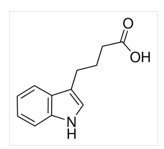 Indole-3-butyric acid 5g Sigma