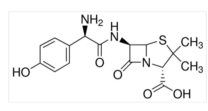 Amoxicillin 1g Sigma