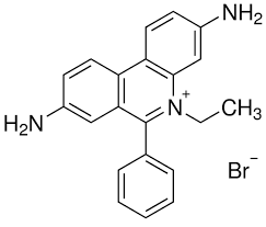 Ethidium™ Bromide, for Electrophoresis 5g Fisher