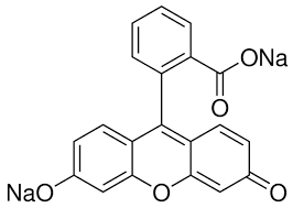 Fluorescein Sodium, Pure, C.I.45350 100g Fisher