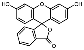Fluorescein, Pure, C.I.45350 25g Fisher