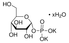 Glucose-1-Phosphoric Acid, Dipotassium Salt Dihydrate 2g Fisher