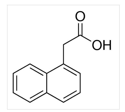 1-Naphthaleneacetic acid 25g Sigma