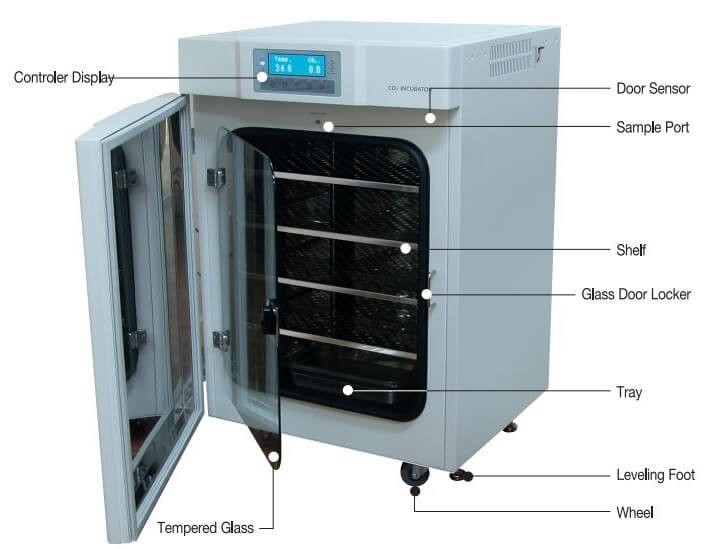 Cấu tạo của tủ ấm CO2