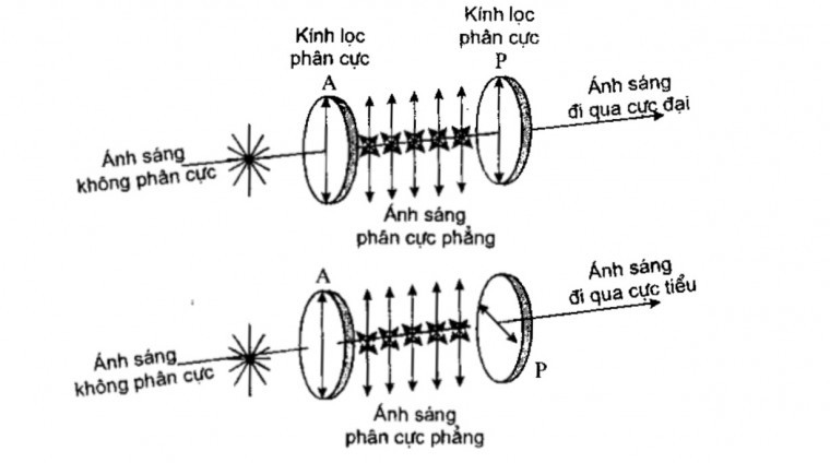 Nguyên lý hoạt động của phân cực kế