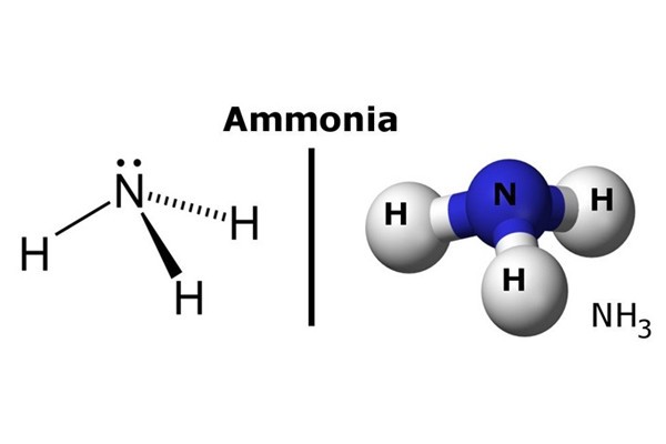 Bazo ammonia solution