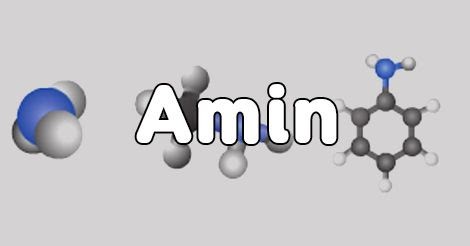 Amin là gì? Phân loại, tính chất và ứng dụng của amin
