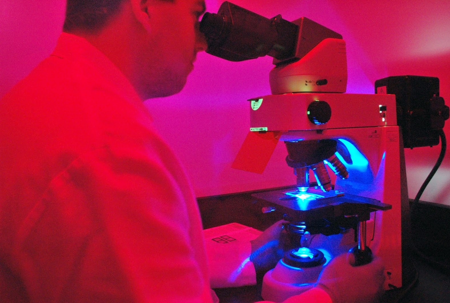 Sử dụng kính hiển vi huỳnh quang như thế nào cho đúng?