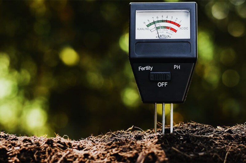 Máy đo pH đất là một loại dụng cụ cần thiết cho các hoạt động canh tác