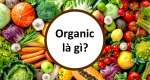 Organic là gì? Cách nhận biết sản phẩm Organic