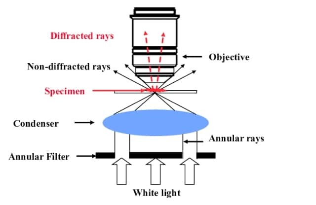Sơ đồ nguyên lý hoạt động của kính hiển vi nền tối