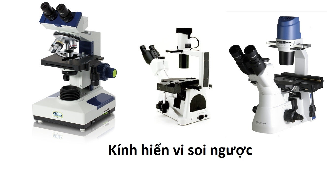 Mua kính hiển vi soi ngược ở đâu giá rẻ, chất lượng, uy tín?