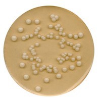 Potato dextrose agar (PDA)  Merck | 1101300500