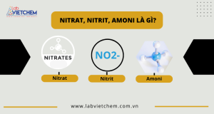 nitrat-nitrit-amoni-la-gi-medium.png