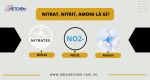nitrat-nitrit-amoni-la-gi-small.png