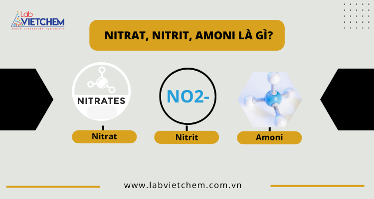 Nitrat, nitrit, amoni là các chất gì?