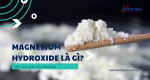 Magnesium hydroxide là gì? Vai trò quan trọng của Mg(OH)2 trong dược phẩm