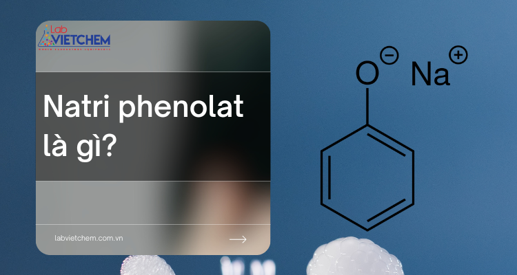 Natri phenolat là gì? Tổng quan tính chất, ứng dụng, điều chế