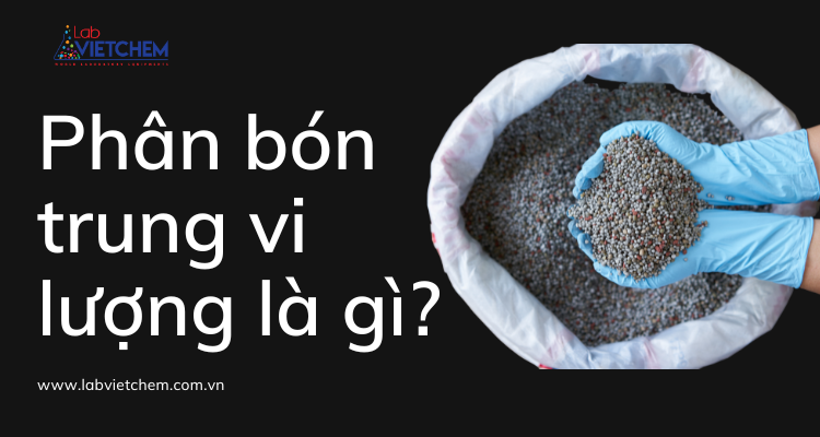 Phân bón trung vi lượng là gì? Tầm quan trọng đối với cây trồng