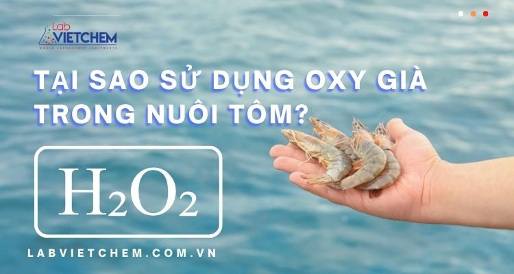 Oxy già có vai trò gì trong xử lý nước ao nuôi tôm?