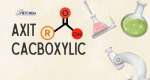 Tổng hợp kiến thức về axit carboxylic