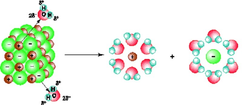 Hidroxit lưỡng tính hòa tan trong nước phân li như một axit và một bazơ