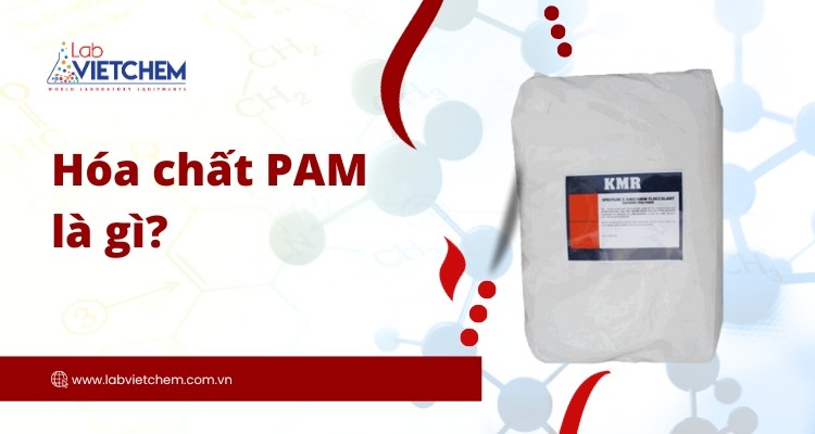 PAM là hóa chất gì?