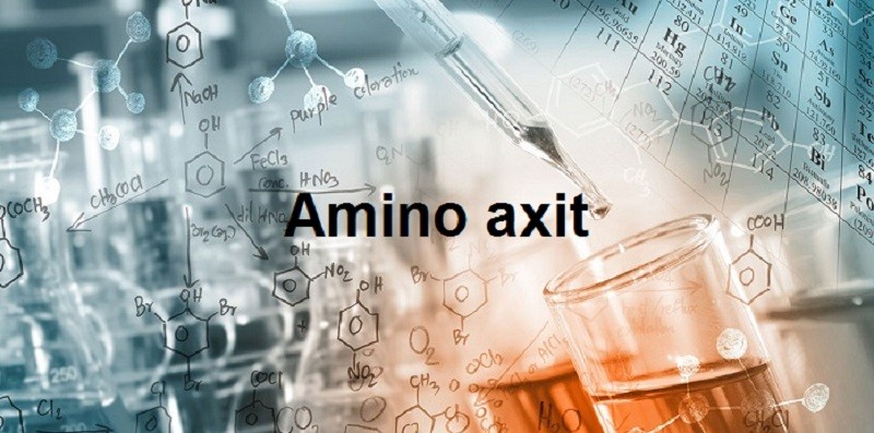 amino axit là gì