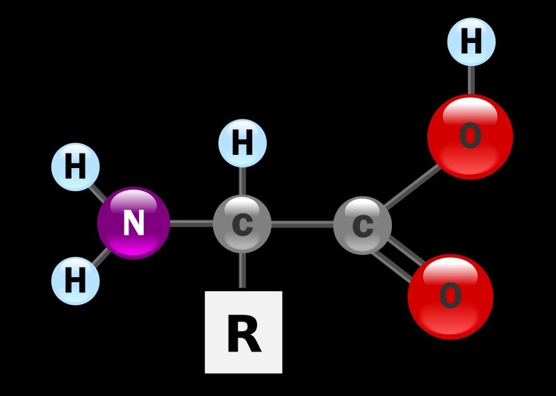 Công thức chung amino axit