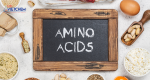 Amino axit là gì? Ứng dụng của Amino axit trong các lĩnh vực