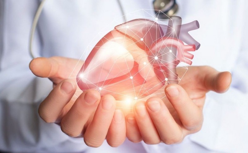 Axit Linoleic hỗ trợ sức khỏe tim mạch