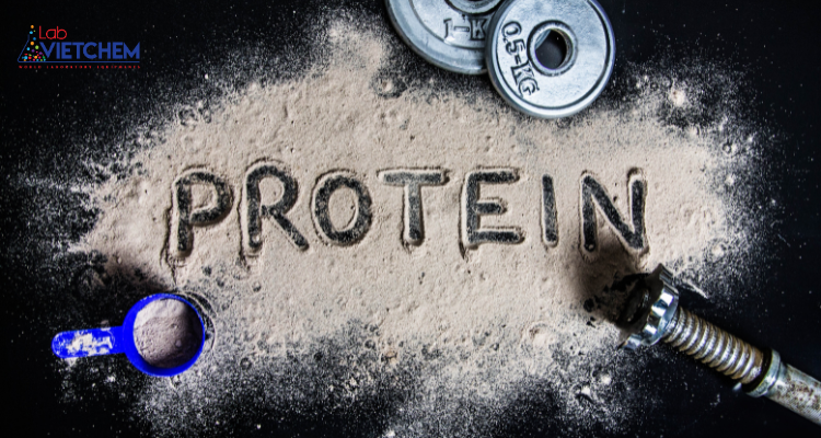 Protein là gì? Cấu tạo, đặc điểm Protein bạn chưa biết
