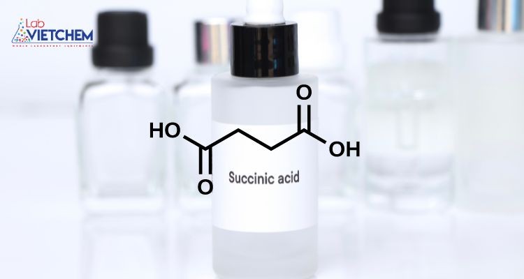 Succinic Acid là chất gì? Tác dụng, ứng dụng, cách sản xuất